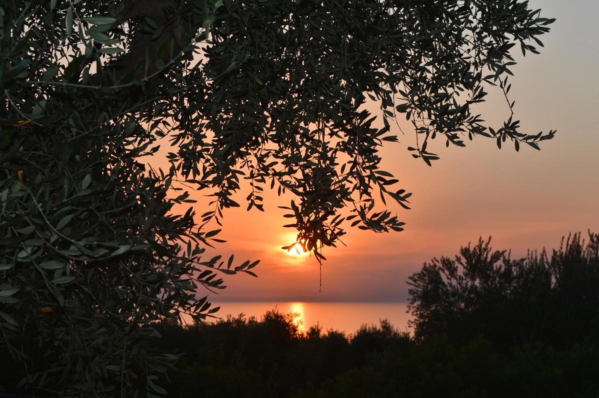 Villaggio Uliveto Rodi Garganico Esterno foto